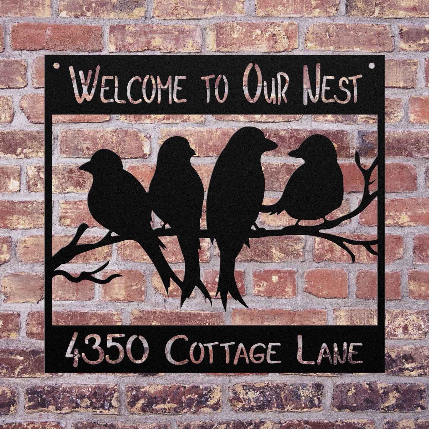 Welcome to Our Nest