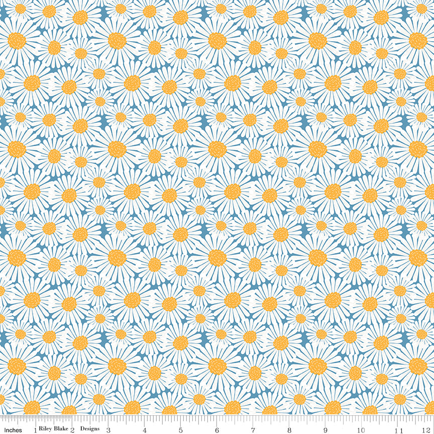 Sunshine & Dandelions Dasies Blue