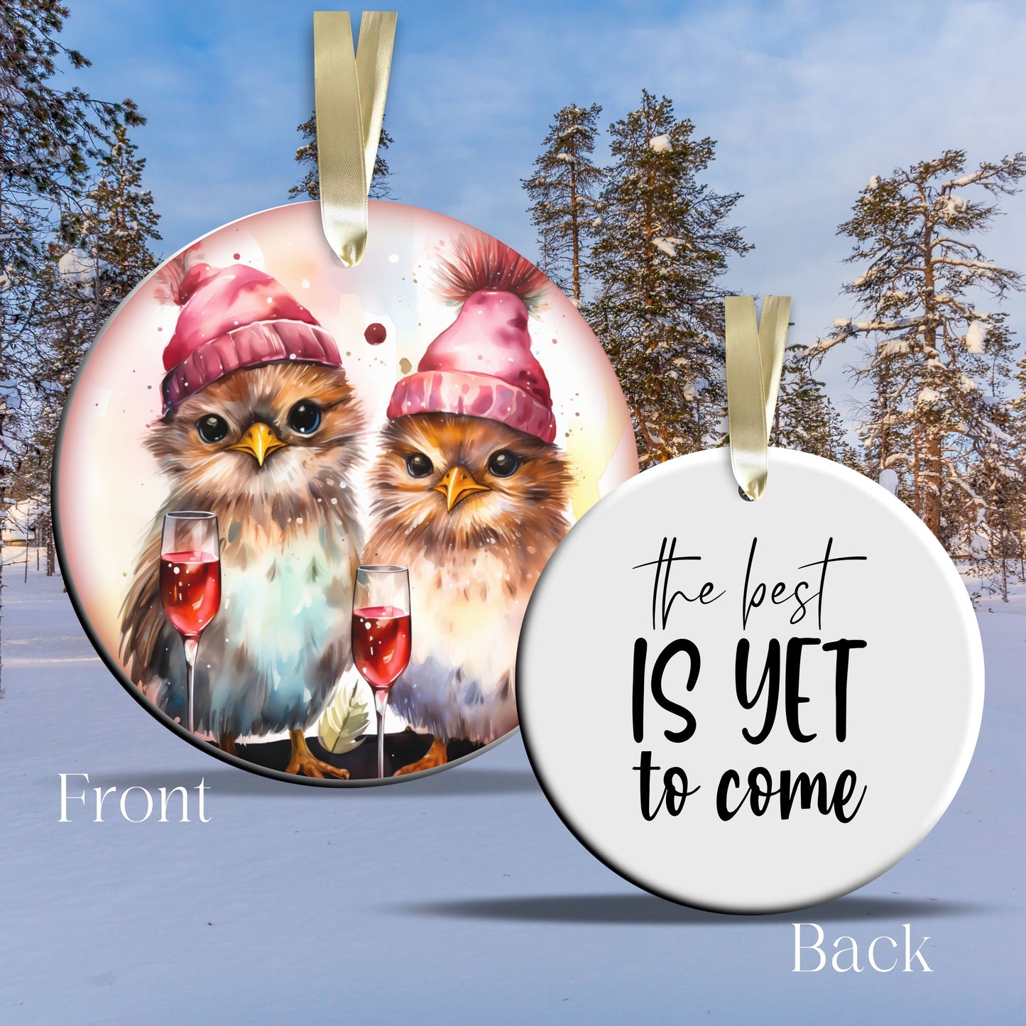 The Best is Yet to Come Funny Bird Christmas Ceramic Ornament 45-10
