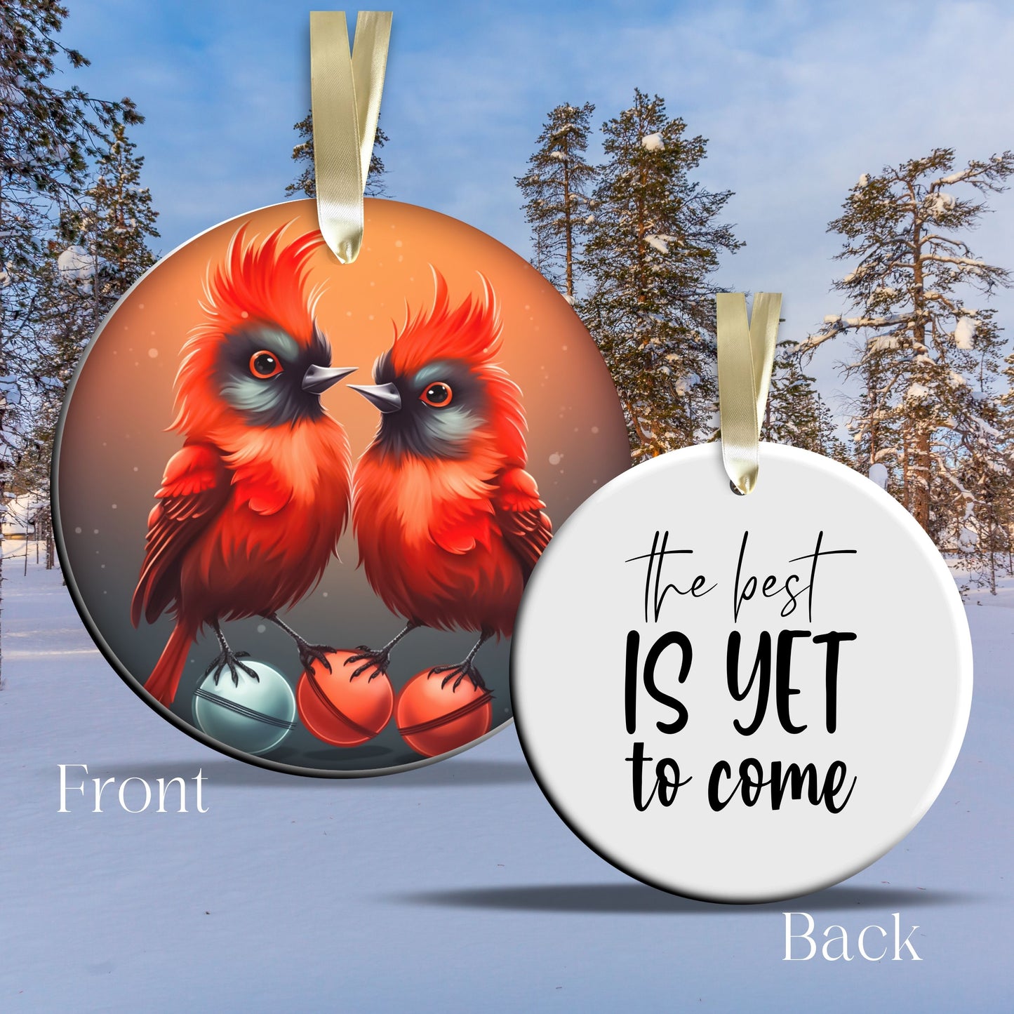 The Best is Yet to Come Funny Bird Christmas Ceramic Ornament 45-40