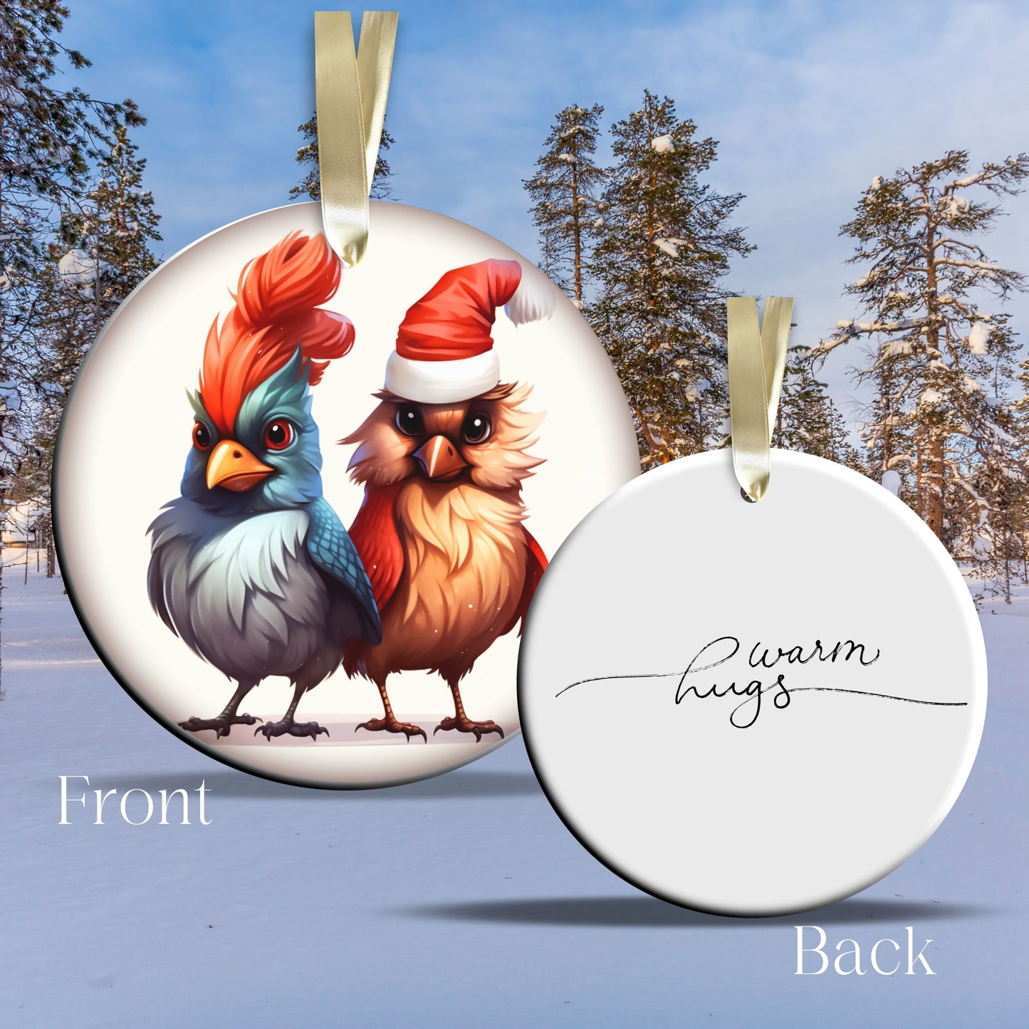 Warm Hugs Funny Bird Christmas Ceramic Ornament 45-56