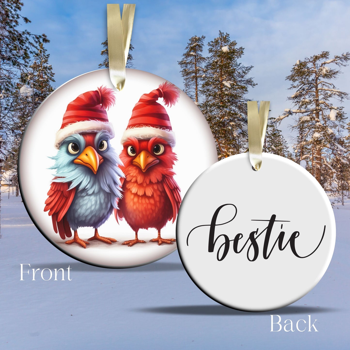Funny Bird Christmas Ceramic Ornament 45-61