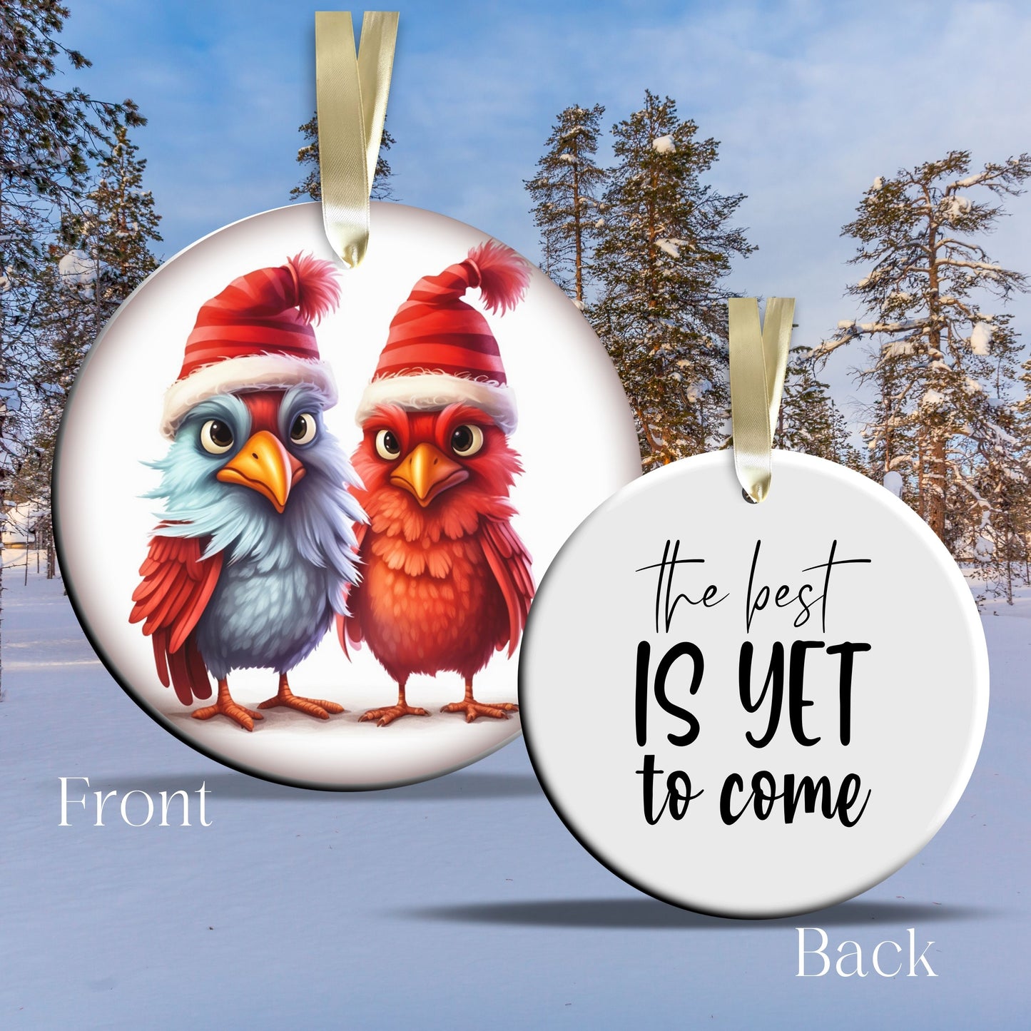 Funny Bird Christmas Ceramic Ornament 45-61