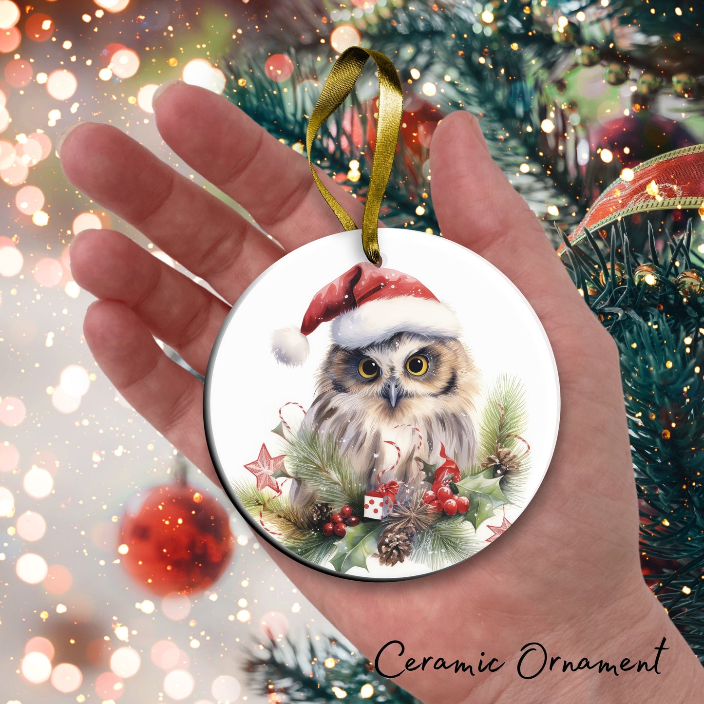 Watercolor Owl Ceramic Ornament Set 29-17