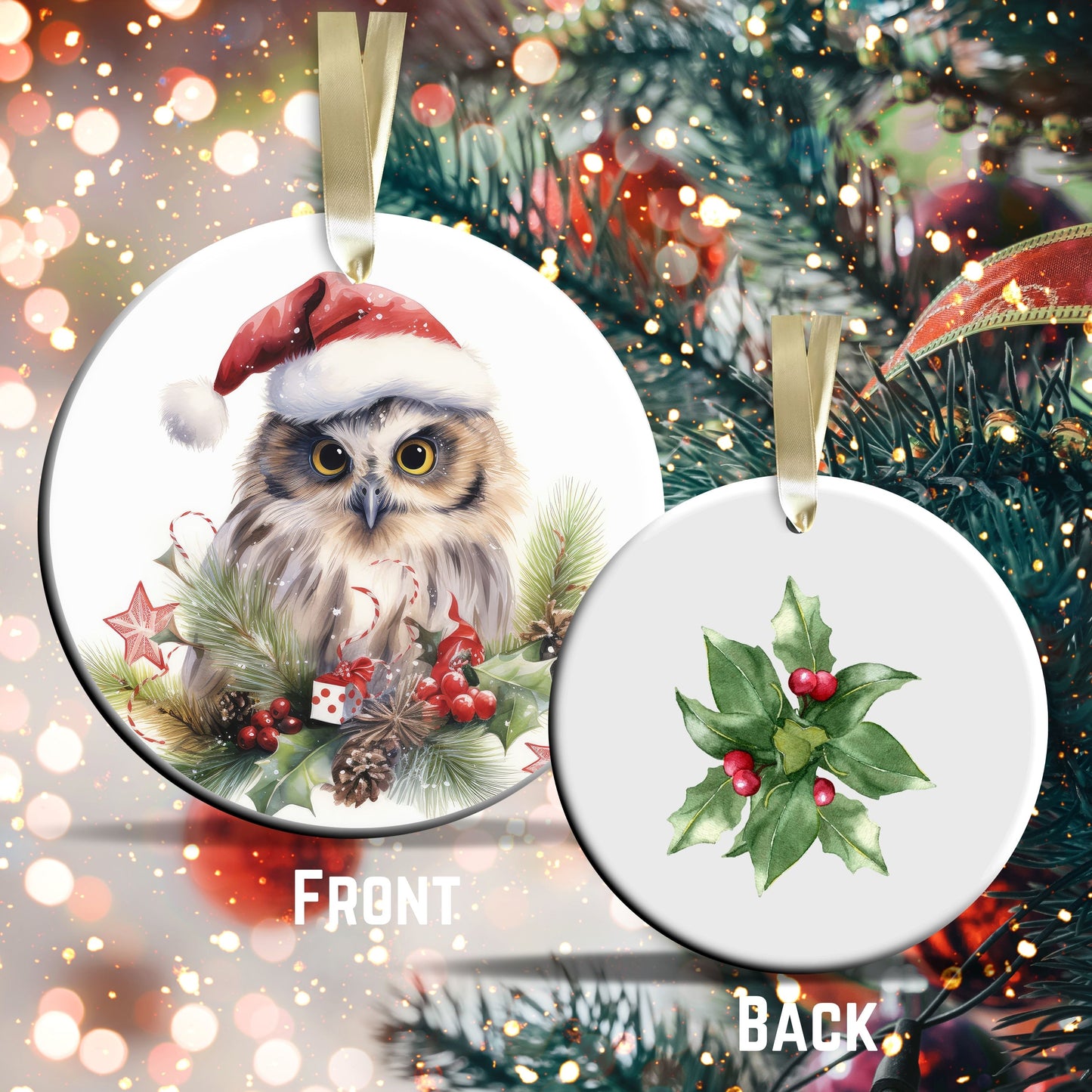 Watercolor Owl Ceramic Ornament Set 29-17