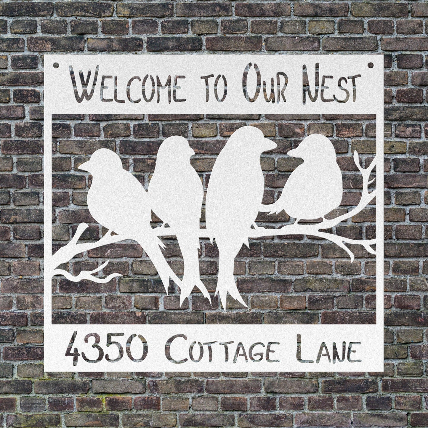 Welcome to Our Nest