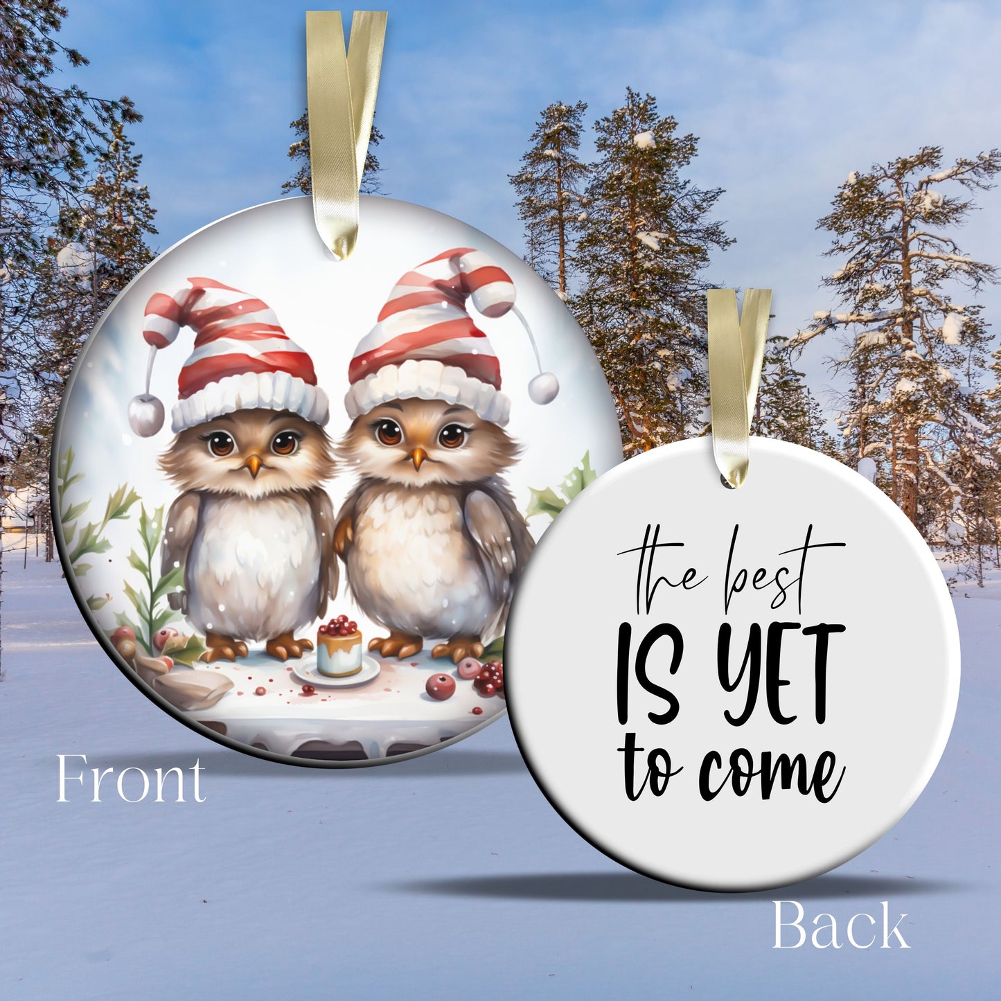 The Best is Yet to Come Funny Bird Christmas Ceramic Ornament 45-04