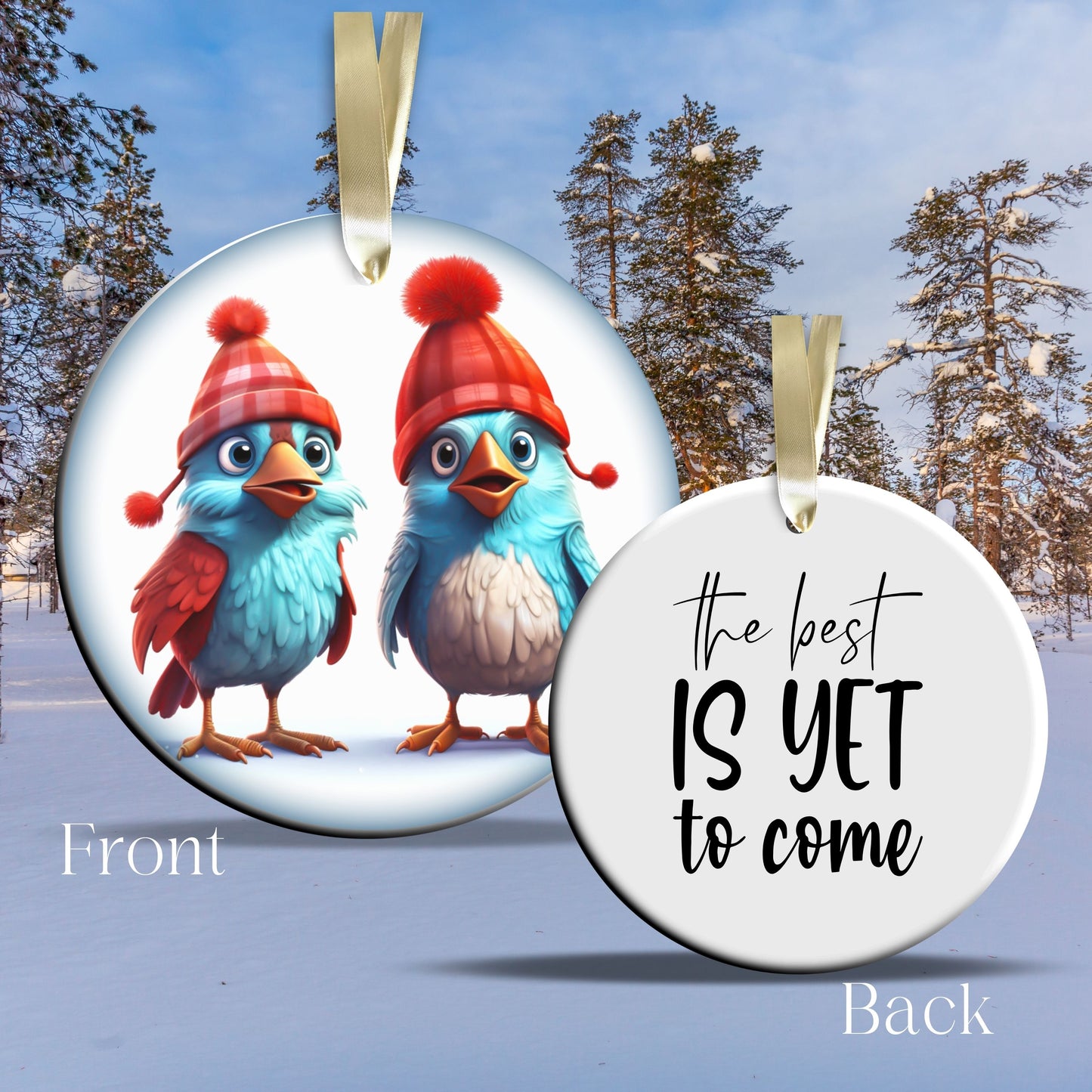 Funny Bird Christmas Ceramic Ornament 45-19